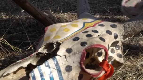 Amerikan Yerlisi Bufalo Kafatası Boyaması Nek Kafatası Töreni Orijinal Yapı — Stok video