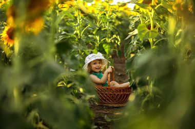  küçük kız bir hasır sepet bir arka plan ayçiçeği oturan