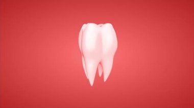 3D animasyon döndürme diş. Döngü, alfa kanalı.