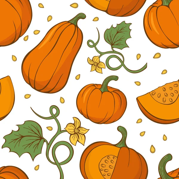 Vector seamless pattern with hand drawn pumpkins. Hand drawn. — Stock Vector