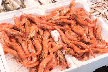 Napoli markette taze balık