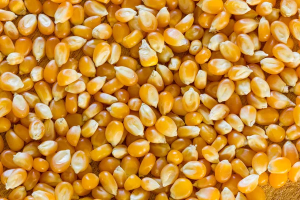 Kukurydzy Popcorn Zbliżenie — Zdjęcie stockowe