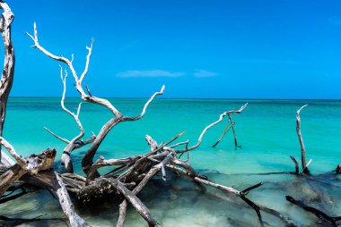 Küba plajlar panorama görünüm