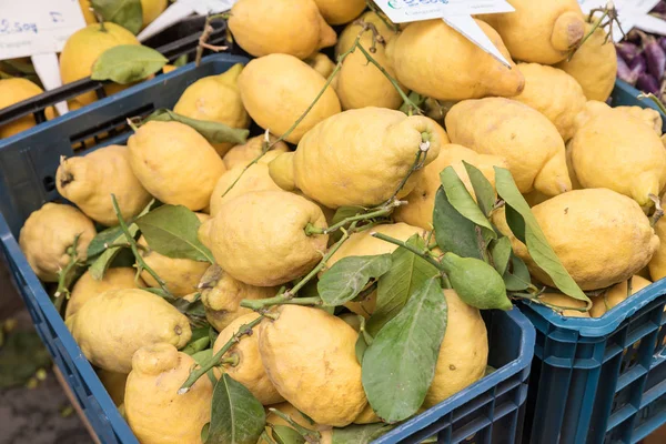 Limoni Sorrento Neapel Italien — Stockfoto