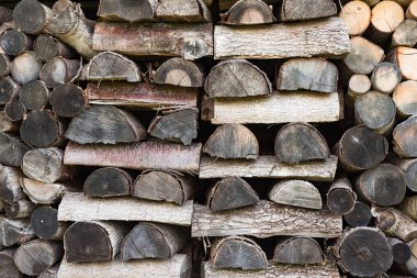 Kesik ahşap gövde dokusu