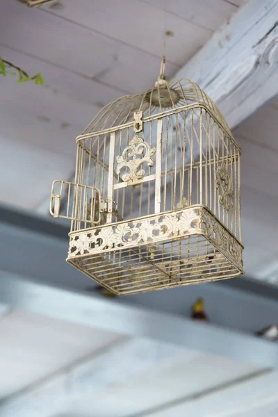 Empty Birdcage Door Open — Stock Photo, Image