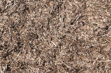 Plaj dokular üzerinde kum