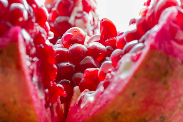 Sabrosa Granada Con Sus Frijoles Rojos — Foto de Stock