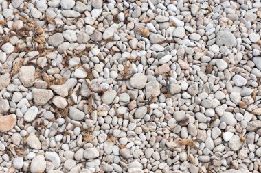 taş görünümlü sahil