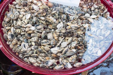 Napoli İtalya pazarında midyeler