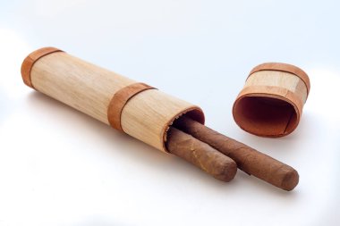 Küba purosu closeup görünümü