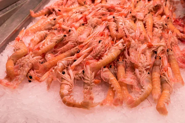 Market Sea Fish — Stock Photo, Image
