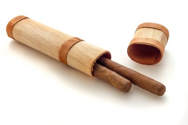 Küba purosu closeup görünümü