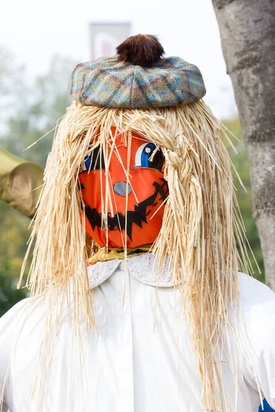 Citrouilles Orange Pour Fête Halloween — Photo