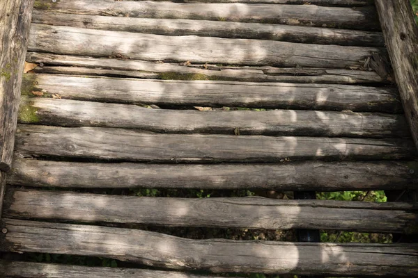 Textur Der Geschnittenen Holzstämme — Stockfoto