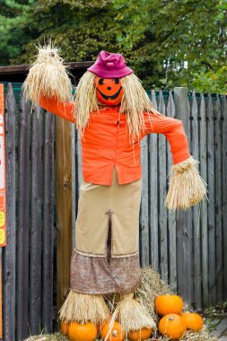 Canavarlar Cadılar Bayramı partisi için