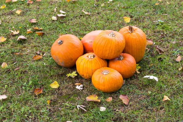 Pomarańczowe Dynie Halloween Party — Zdjęcie stockowe