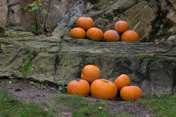 Pomarańczowe Dynie Halloween Party — Zdjęcie stockowe