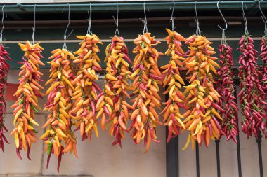 İtalya 'nın Sorrento Napoli Biberleri