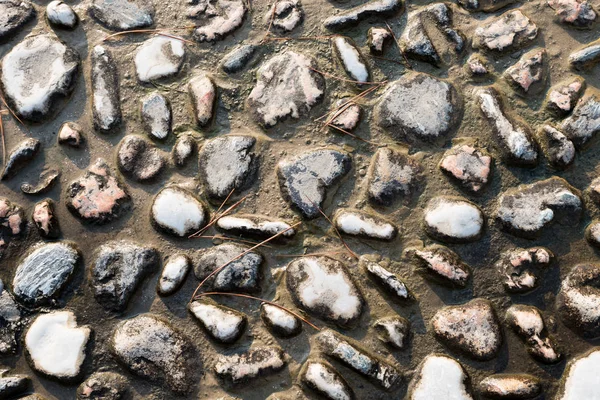 Texture River Stones — Stock Photo, Image