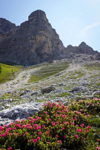 Dağ Yollar Tepeler Lavaredo — Stok fotoğraf