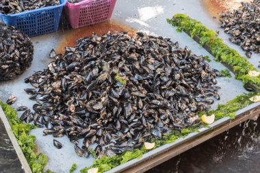 Napoli İtalya pazarında midyeler