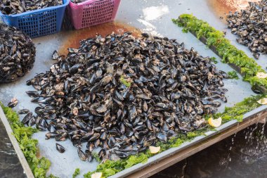 Napoli İtalya pazarında midyeler