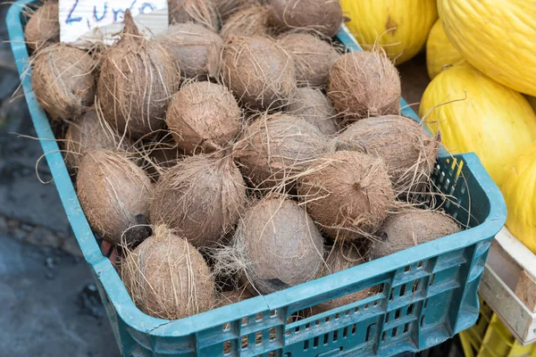 Coconuts Naples Market — Stock Photo, Image