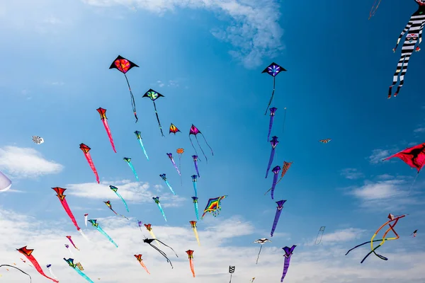 Aquiloni Con Cielo Blu Nuvole Bianche — Foto Stock