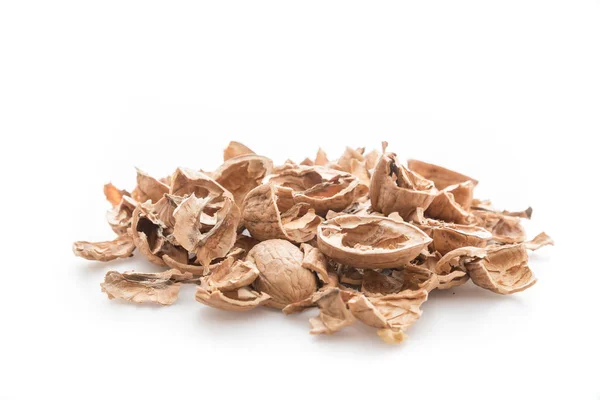 Pile of shells nutshells — Stock Photo, Image