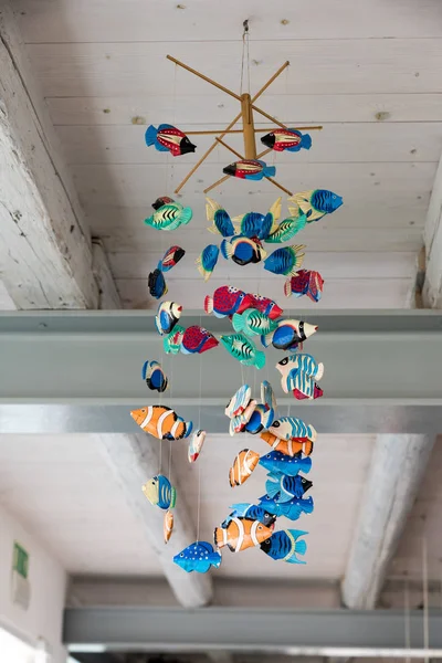 Ryby, které visí ze stropu — Stock fotografie