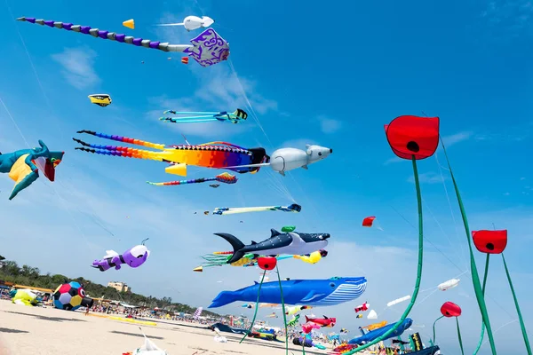 Kites med blå himmel og hvide skyer - Stock-foto