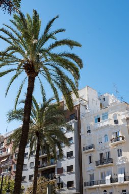 Valencia'da güzel tipik binalar