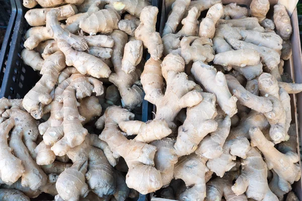 Pile of ginger view — Stock Photo, Image