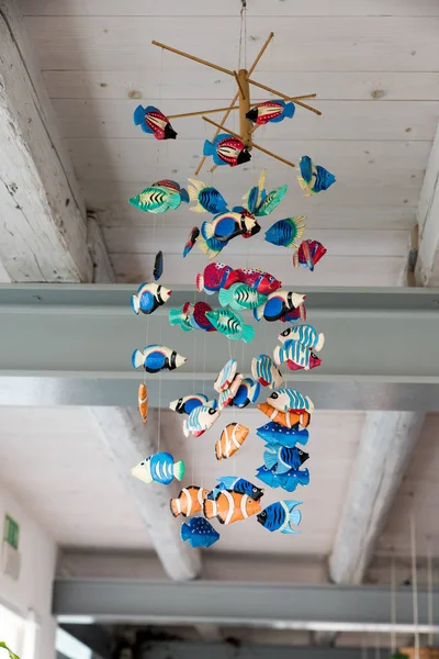 Ryby, které visí ze stropu — Stock fotografie