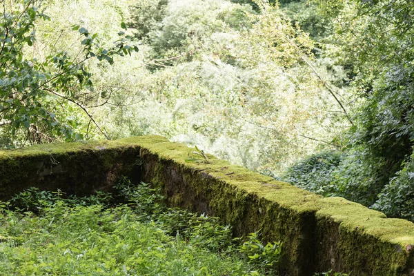 Bâtiments en pierre dans les bois — Photo