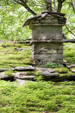 Ormanda Taş binaları