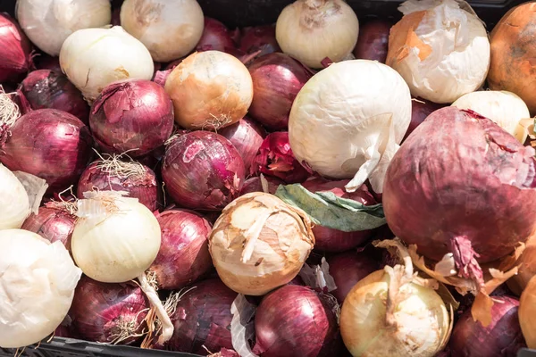 Beyaz ve kırmızı soğan