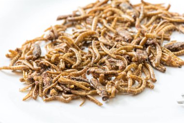 Fried kriket larva görünümü