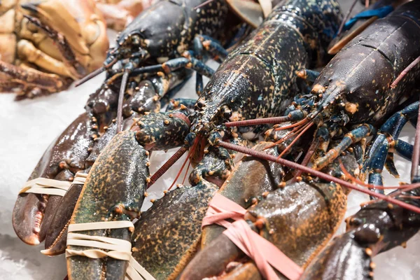 Del mercado del pescado de mar — Foto de Stock