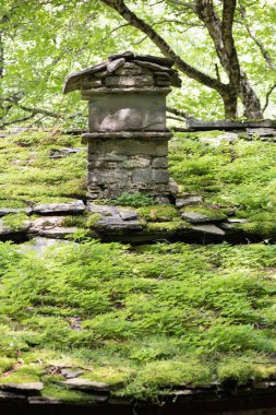 Ormanda Taş binaları