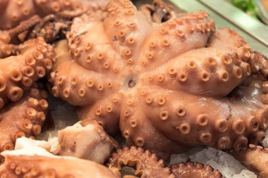 Ahtapot pazarı deniz balığı