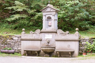 Ormanda taş çeşme