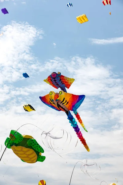 Pipas com céu azul e nuvens brancas — Fotografia de Stock