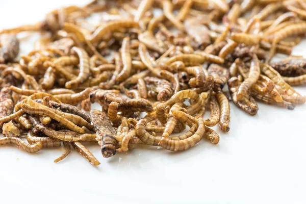 Fried cricket larvae close up — Stock Photo, Image