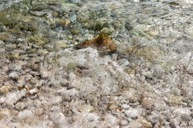 taş görünümlü sahil