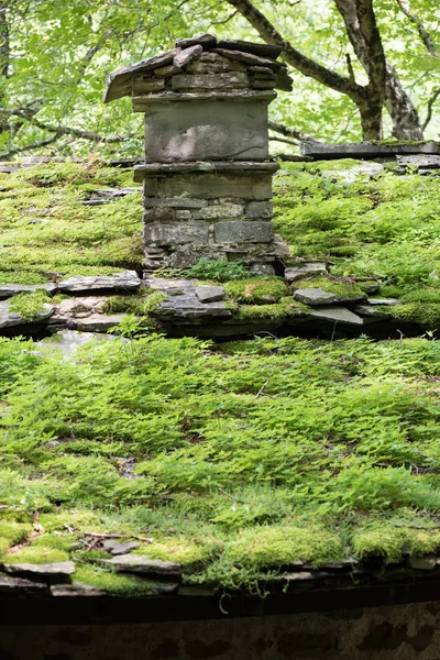 森の中の石の建物 — ストック写真