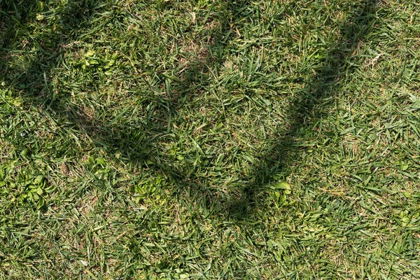 Зеленая трава с тенью — стоковое фото