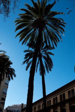 Valencia'da güzel tipik binalar