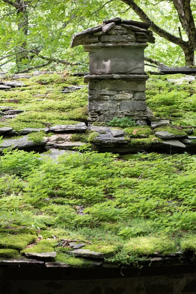 Edificios de piedra en el bosque — Foto de Stock